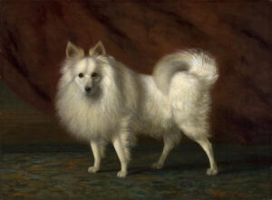 Woof: A Celebration of Dogs - a new exhibition at Lynn Museum