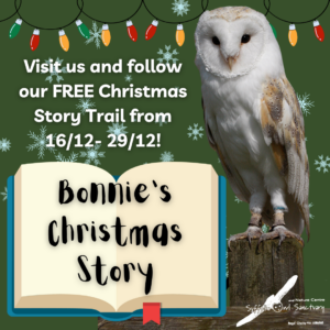 Christmas Story Trail