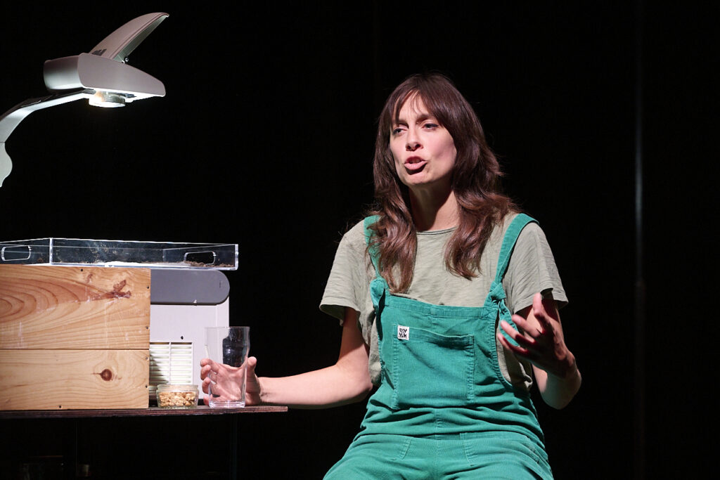 Katie-anna Whiting, LoreFolk