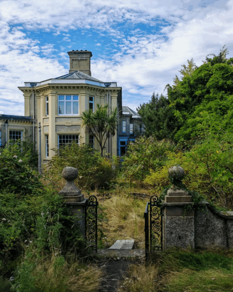 The Rose Garden at Carrow House is being nurtured back to life