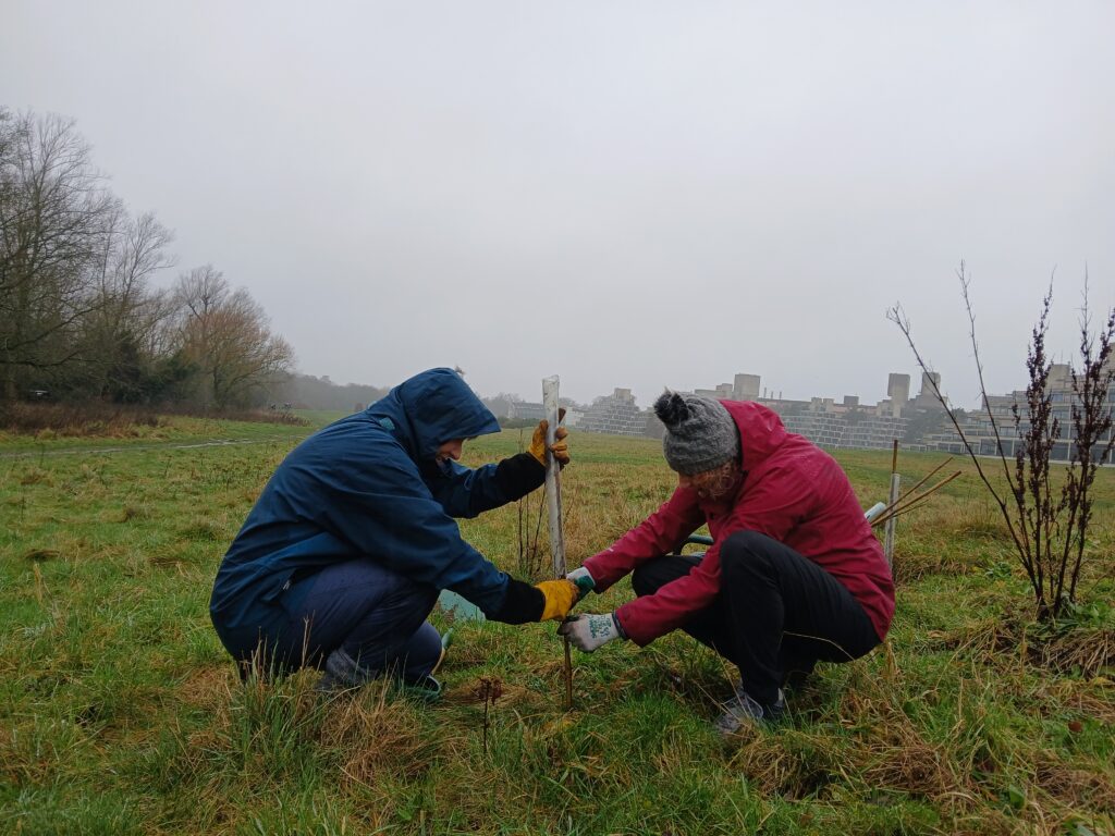 UEA Biodiversity Heroes initiative