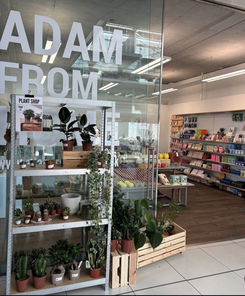 Adam From Home, Norwich