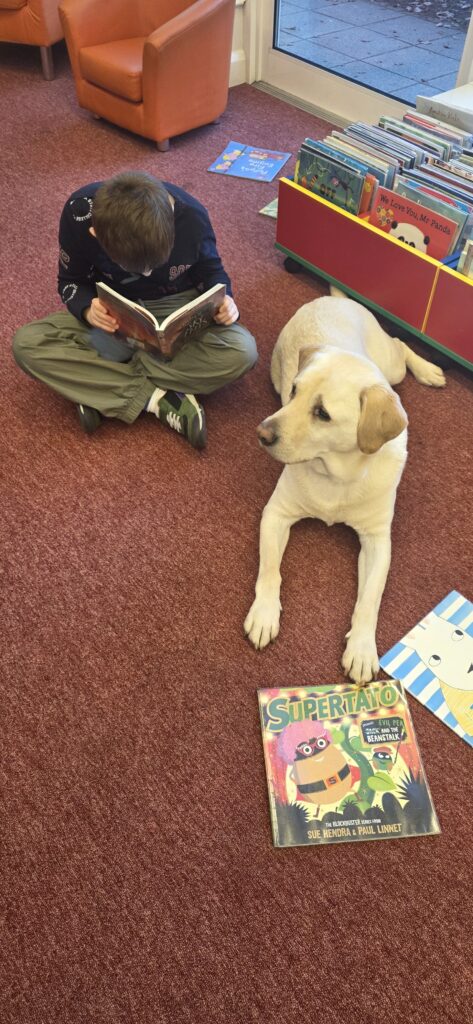 Ted the Reading Dog at Downham Market Library
