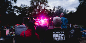 Norfolk folk in a field festival