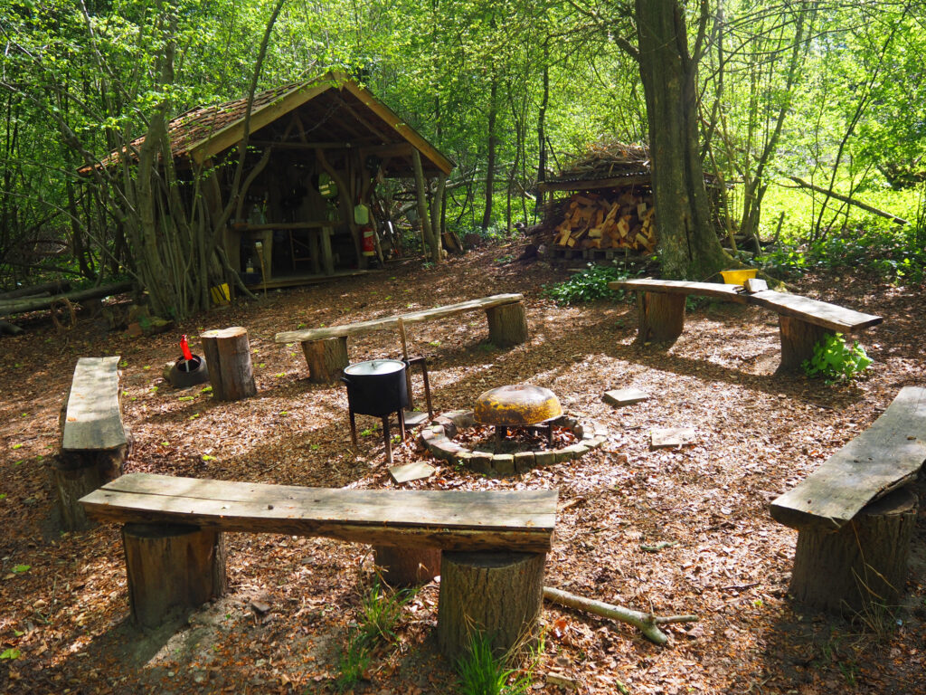Wrongs Covert ancient woodland